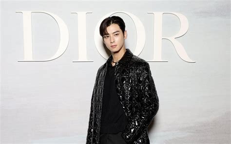 cha eun woo dior ambassador|cha eun woo.